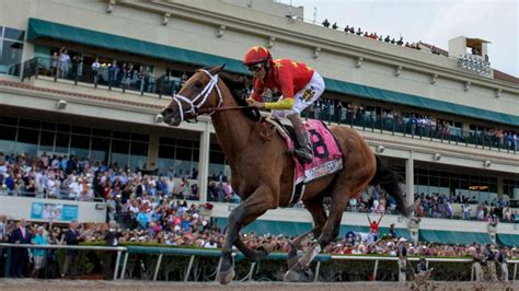 florida derby field|florida derby morning line today.